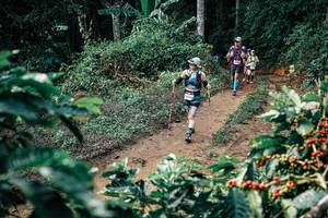 BIB: 
                            <button type="button" onclick="openModal(25851544)" class="btn btn-primary btn-sm float-right btn-popup" data-toggle="modal" data-target=".modal-high-quality">
                        <i class="fas fa-shopping-cart"></i> Add to Cart
                    </button>
                                            <button type="button" onclick="isThisMe(25851544, true)" class="btn btn-success btn-sm float-right btn-popup btn-isme hidden" data-toggle="tooltip" data-placement="bottom" title="นี่คือรูปของคุณใช่ไหม คลิกที่นี่เพื่อเอาเข้าอัลบั้ม">
                        <i class="fas fa-plus"></i> Add to album
                    </button>
                    <button type="button" onclick="isThisMe(25851544, false)" class="btn btn-warning btn-sm float-right btn-popup btn-isnotme hidden">
                        <i class="fas fa-ban"></i> Remove from album
                    </button>